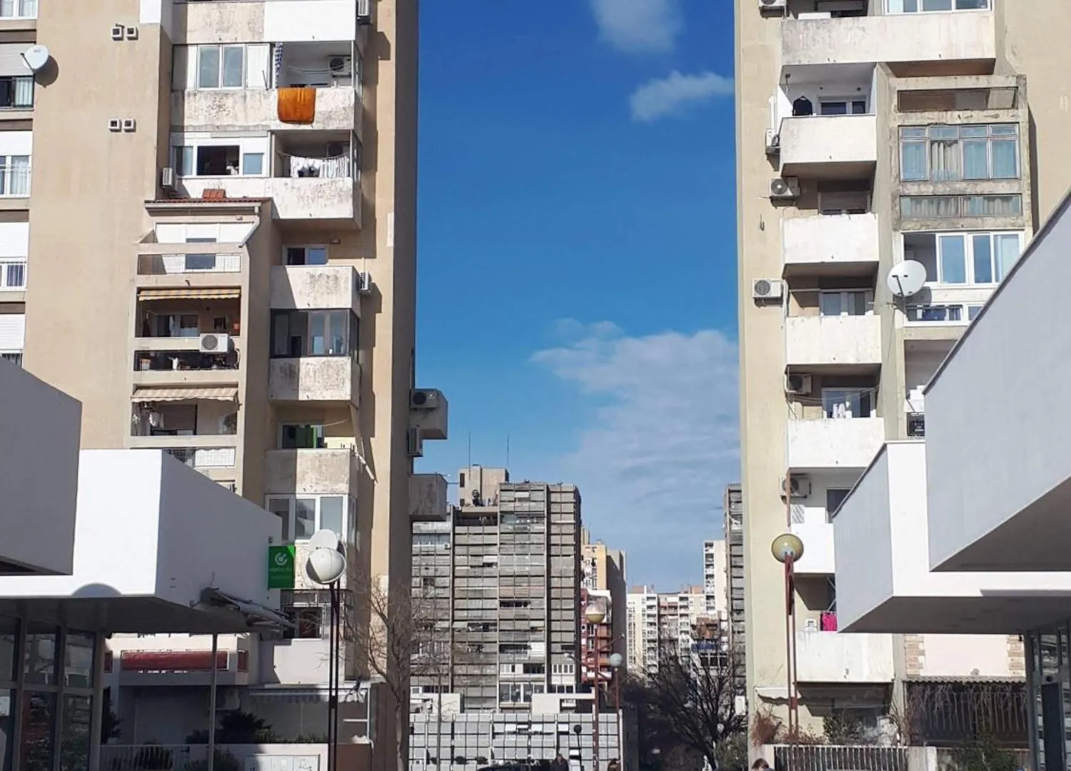 Apartment Zest Split