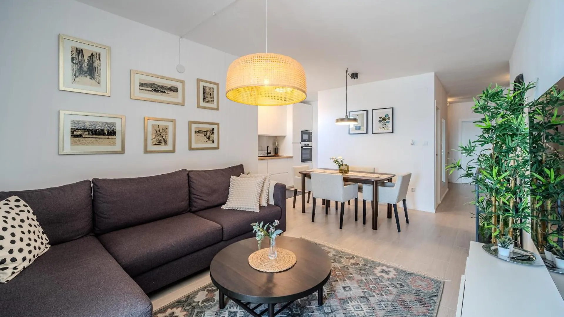Apartment Zest Split